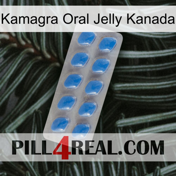 Kamagra Oral Jelly Canada 22.jpg
